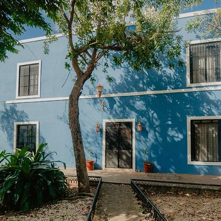 Nido Colibri - Private Rooms And Hostel Dorms In Remate De Paseo Montejo Mérida Exterior foto
